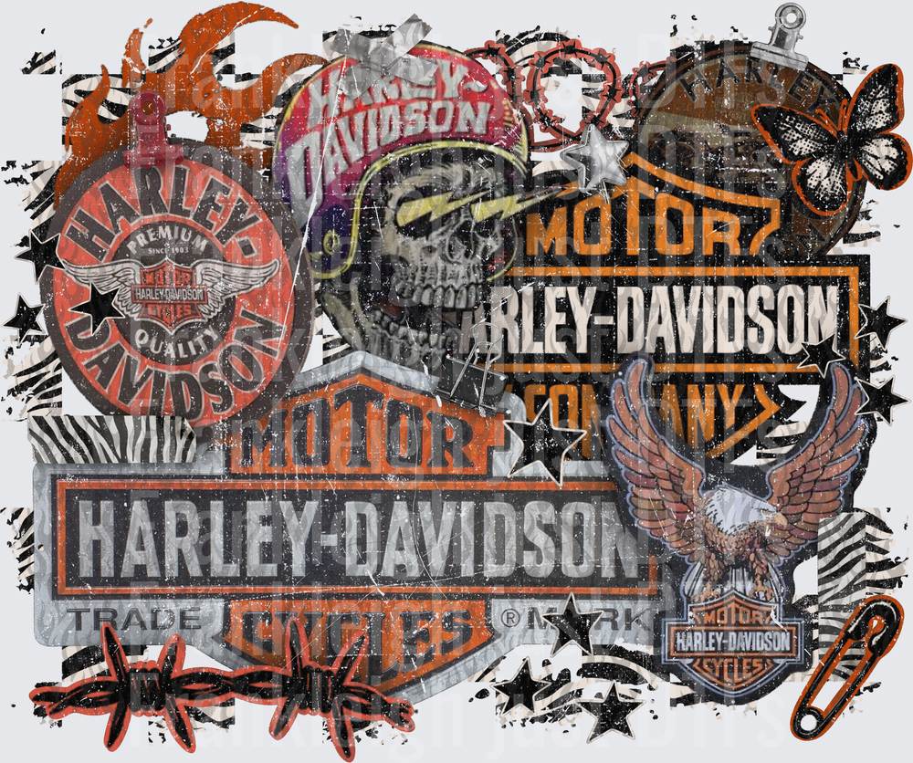 Harley less grunge