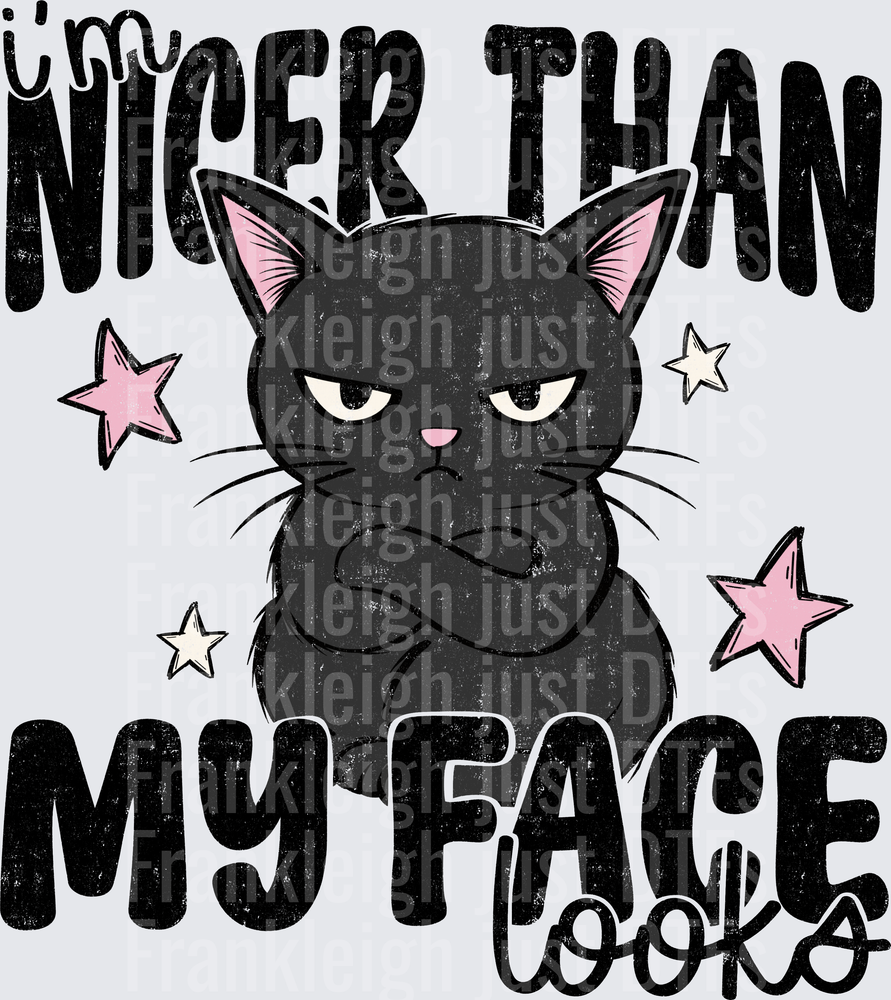 Nicer Than My Face looks