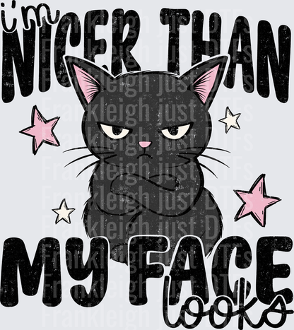 Nicer Than My Face looks