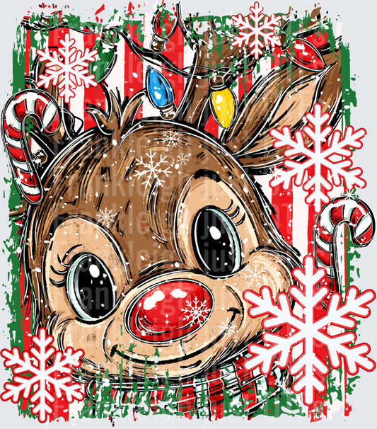 Reindeer