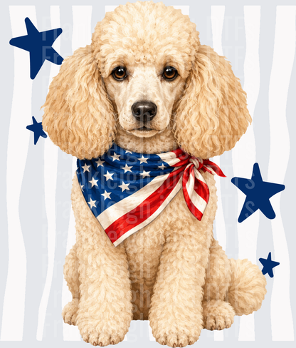 Patriotic Poodle with American Flag Bandana and Blue Stars Front
