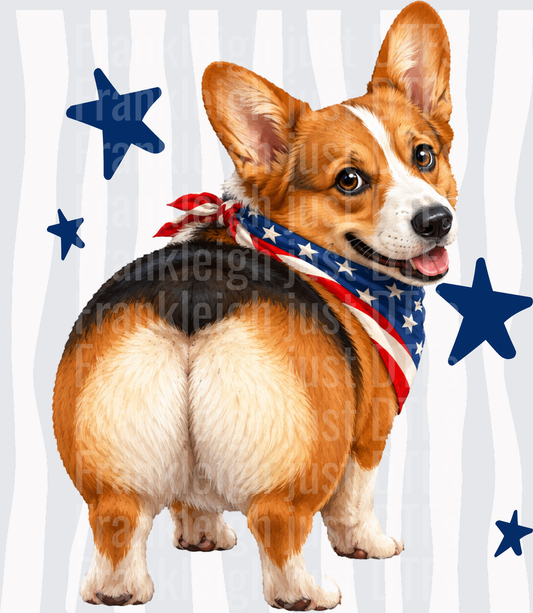 Patriotic Corgi with American Flag Bandana and Blue Stars Back