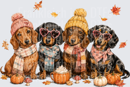 Dachshunds Fall