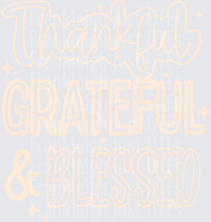 Thankful grateful blessed tan outline