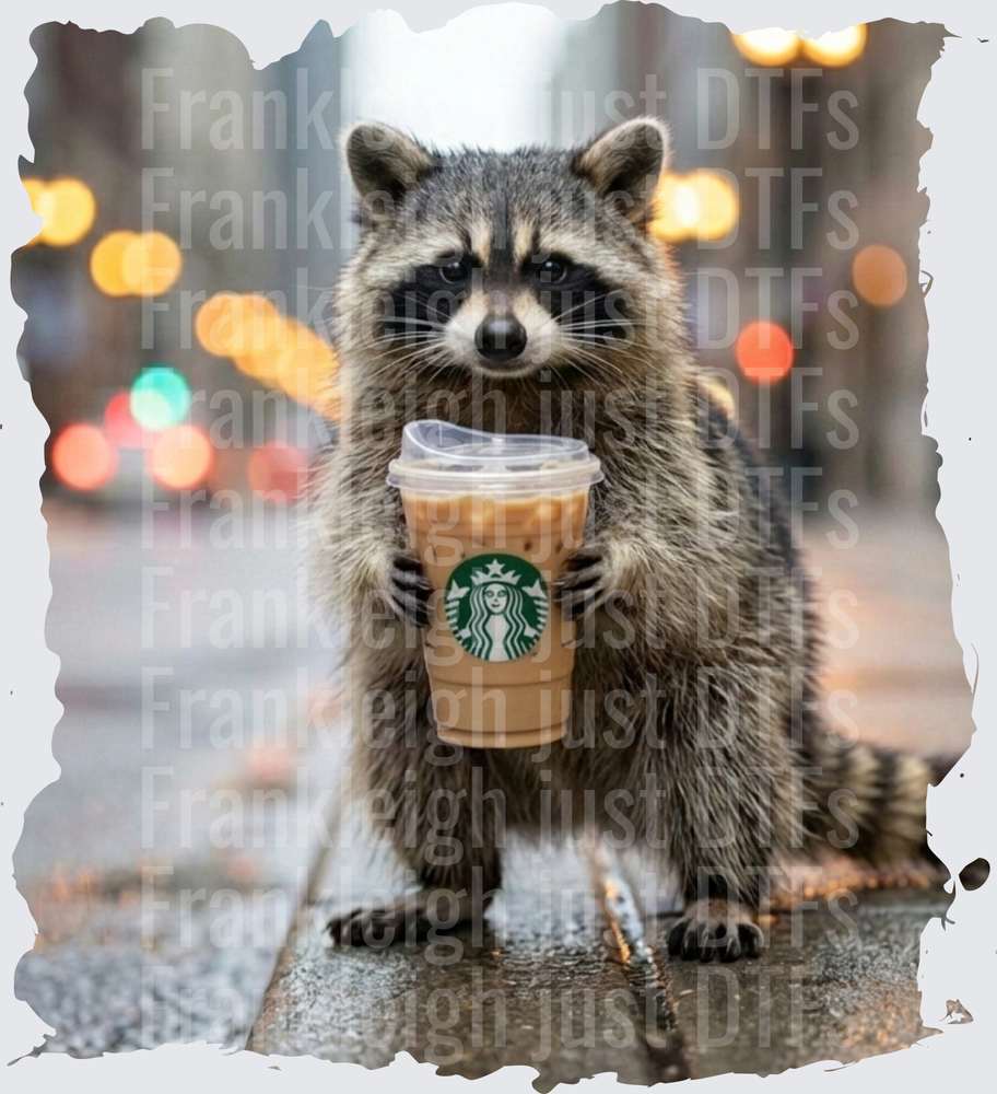 raccoon starbucks