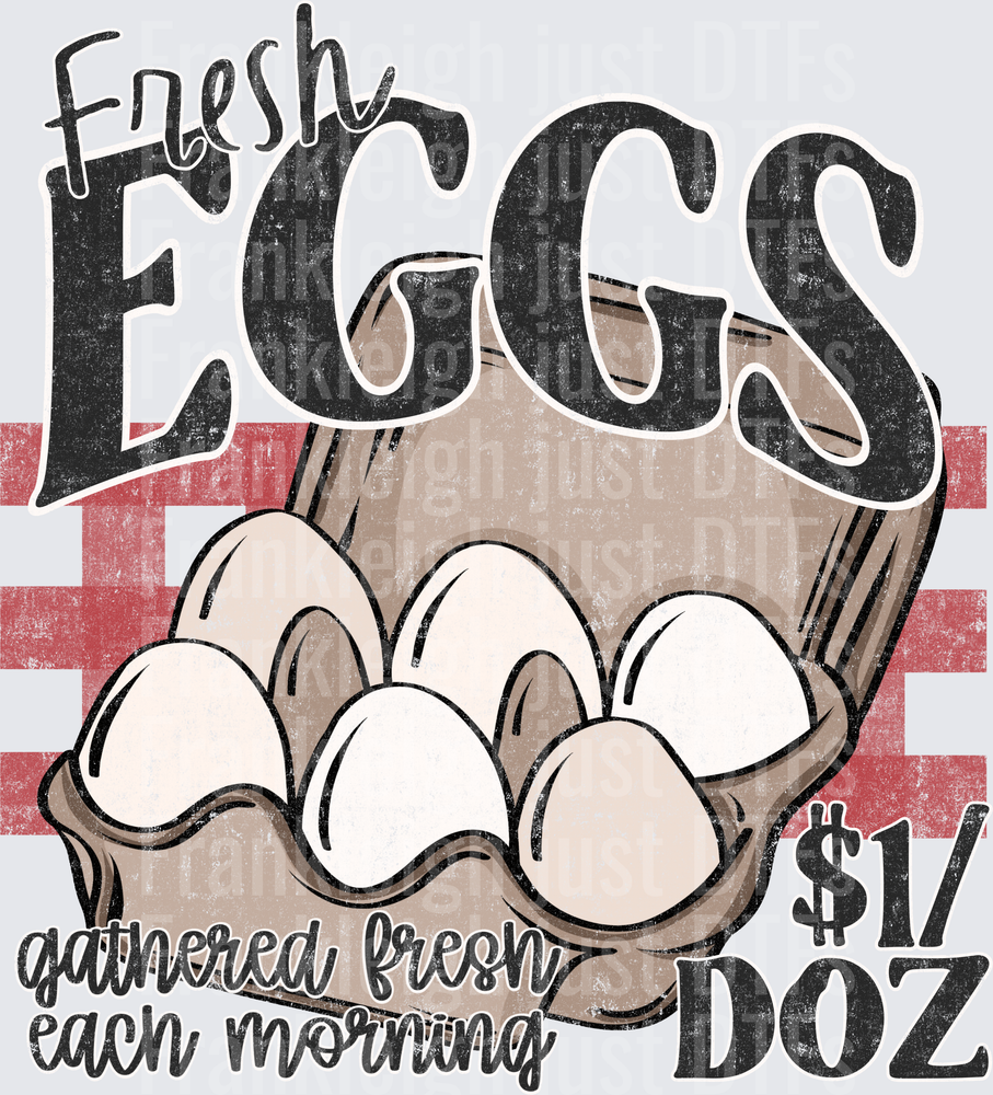 Fresh Eggs