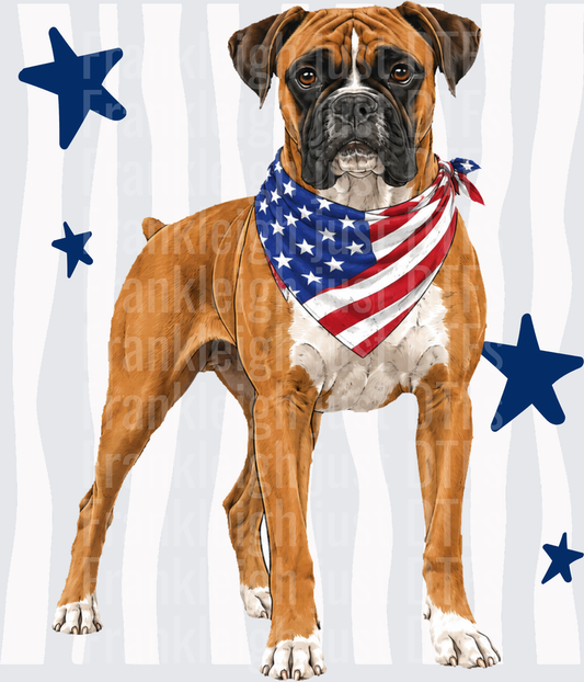 Patriotic Boxer Dog with American Flag Bandana and Blue Stars Front