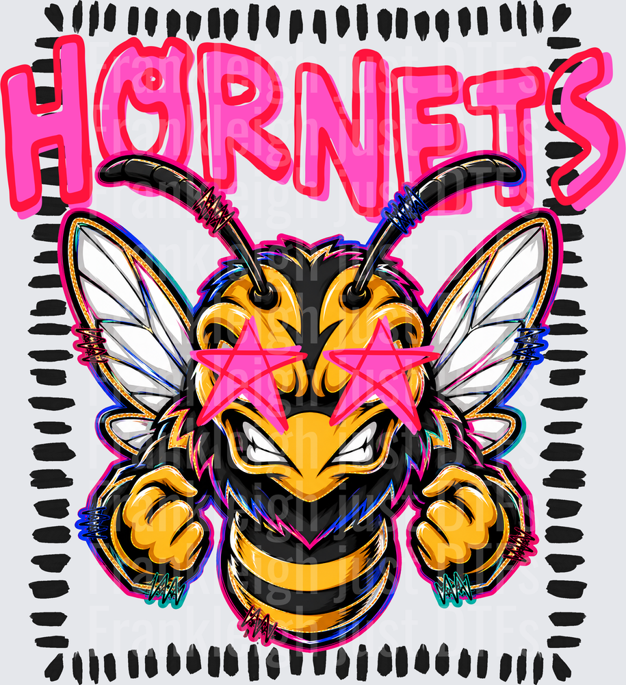 Starstruck Hornets 2