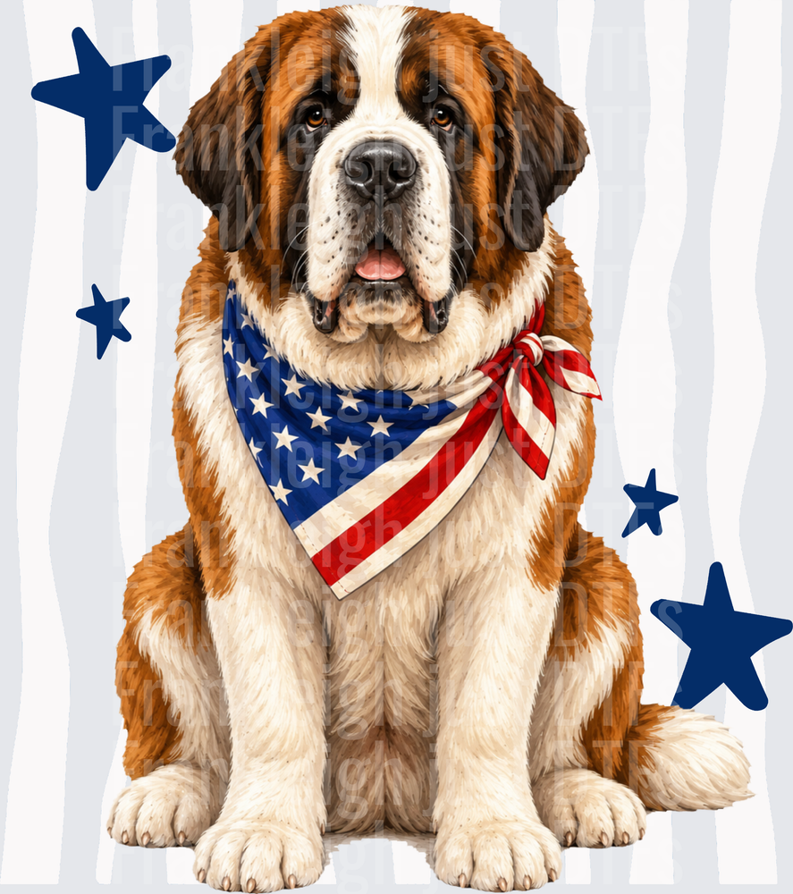 Patriotic Saint Bernard Dog with American Flag Bandana and Stars Front