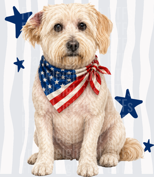 Patriotic Golden Doodle Dog with American Flag Bandana and Stars Front