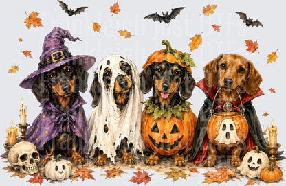 Dachshunds Halloween