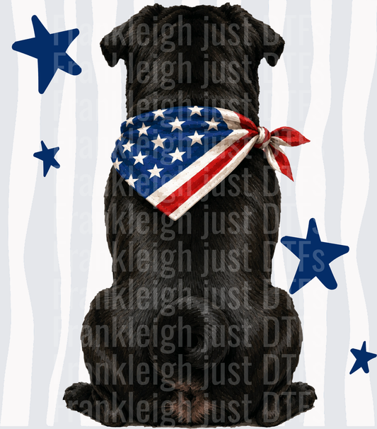 Patriotic Black Dog with American Flag Bandana and Blue Stars Back