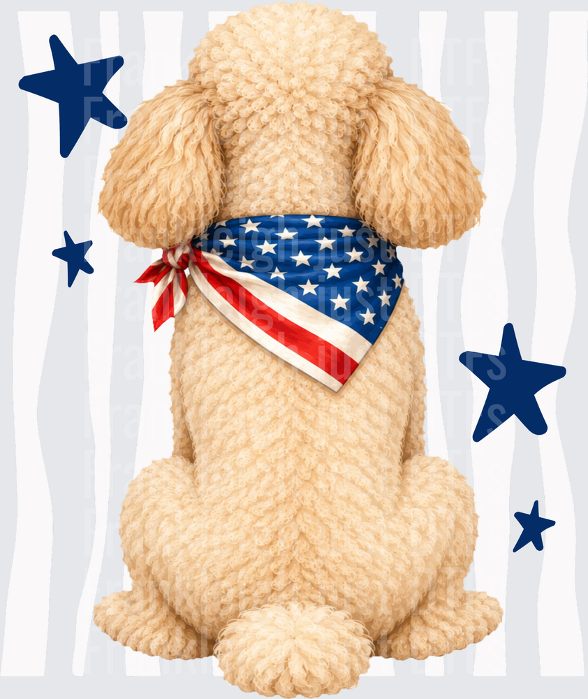 Patriotic Poodle with American Flag Bandana and Blue Stars Back