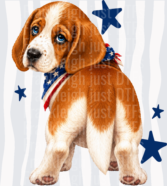 Patriotic Beagle Puppy with American Flag Bandana and Stars Back