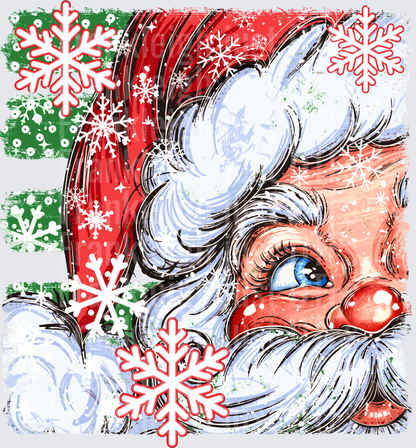 Santa Close Up