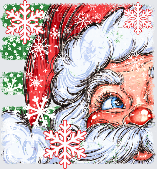 Santa Close Up