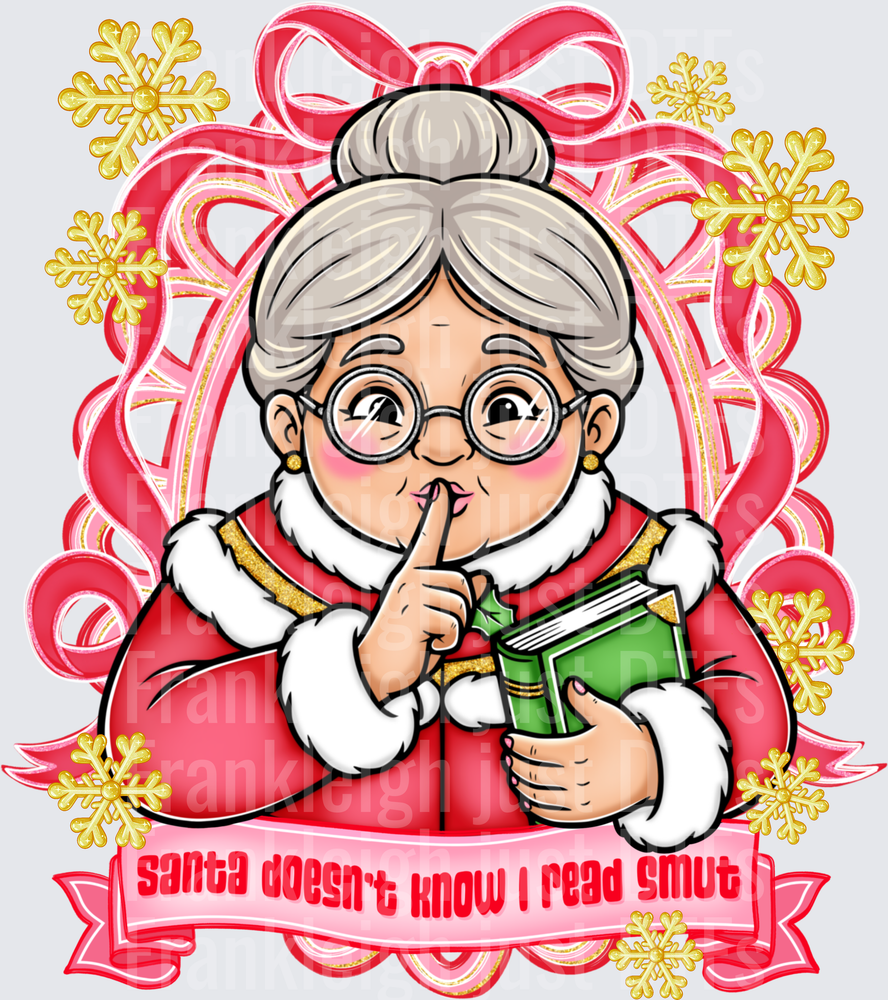 Santa Doesn’t Know I Read Smut Frame