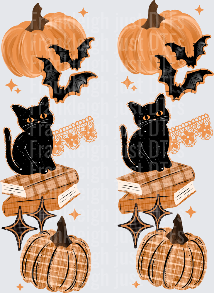 Black Cat Books Sleeves