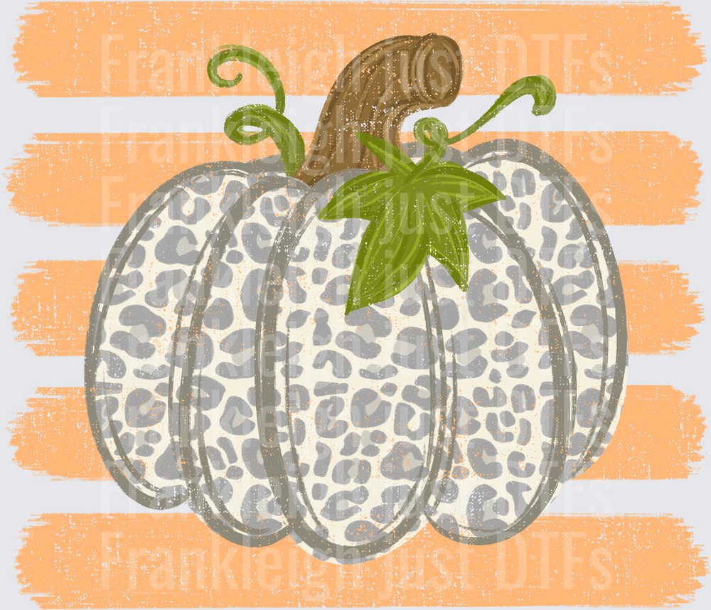 Grey leopard pumpkin