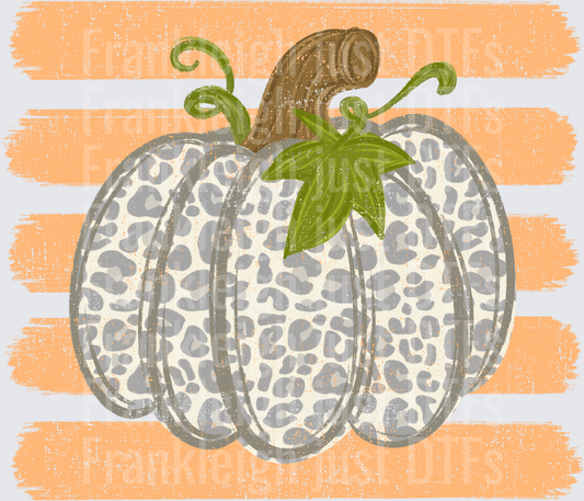 Grey leopard pumpkin