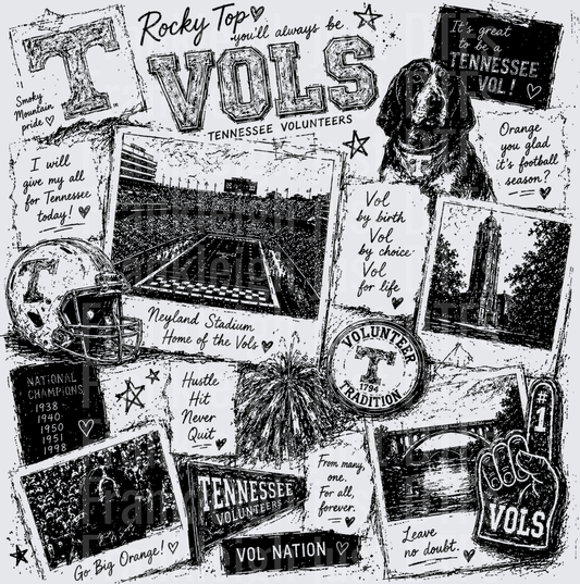 Vols Collage