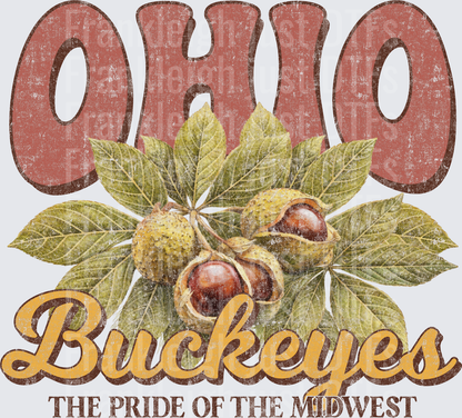 Ohio Buckeyes