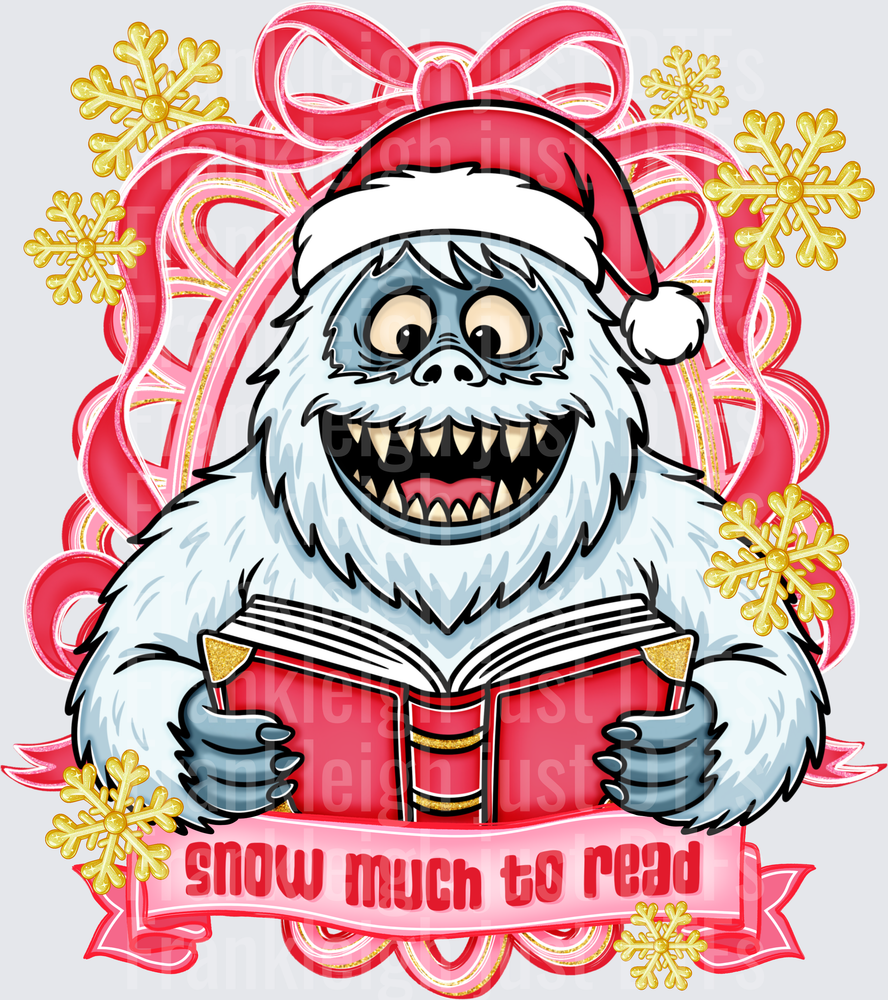 Snow Much to Read Frame