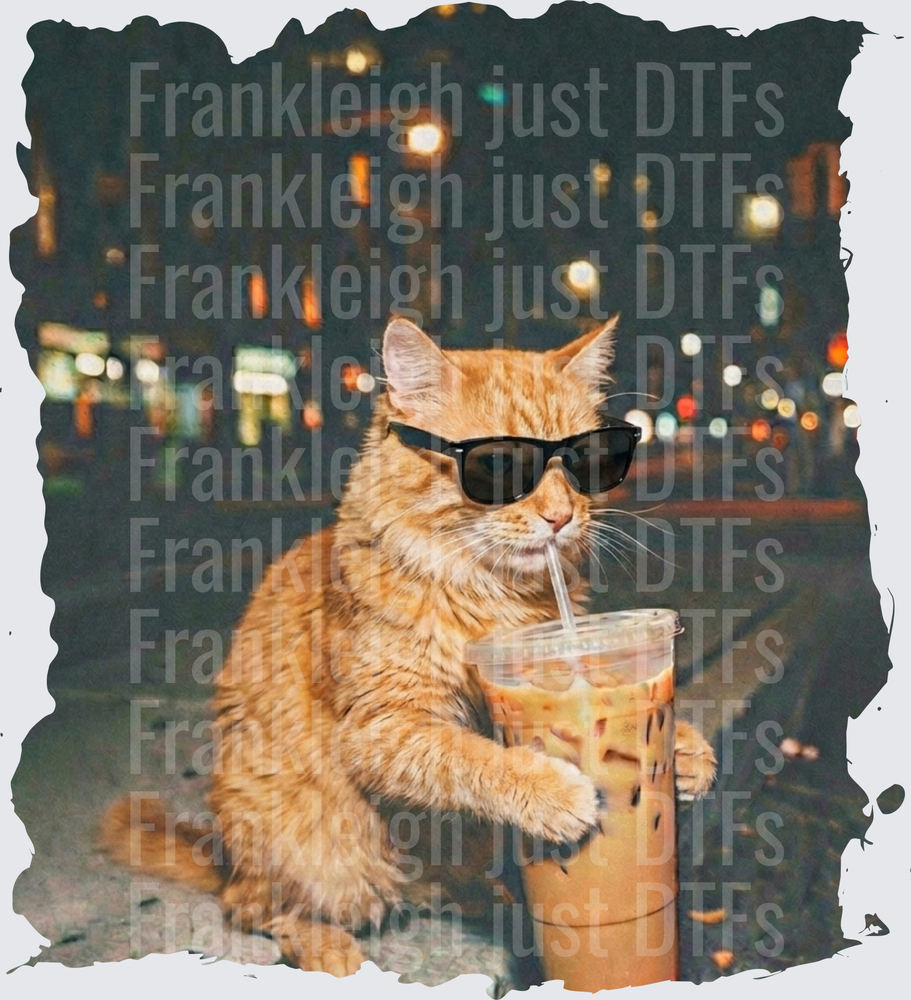 orange cat iced coffee