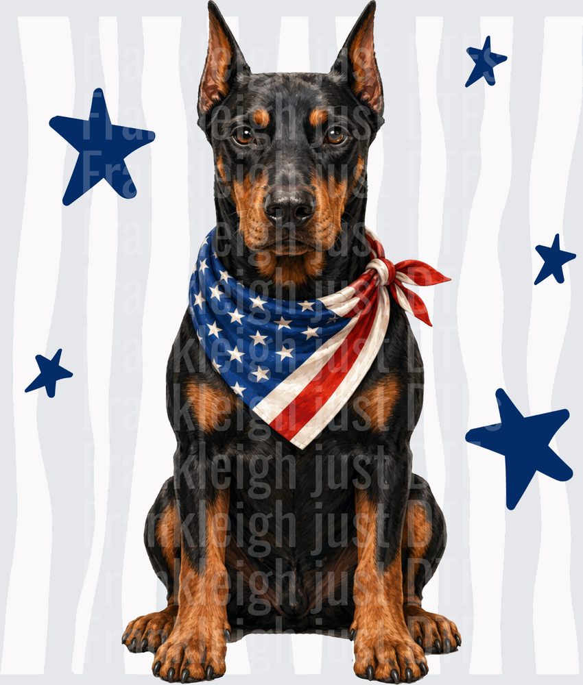 Patriotic Doberman Pinscher with American Flag Bandana and Stars Front