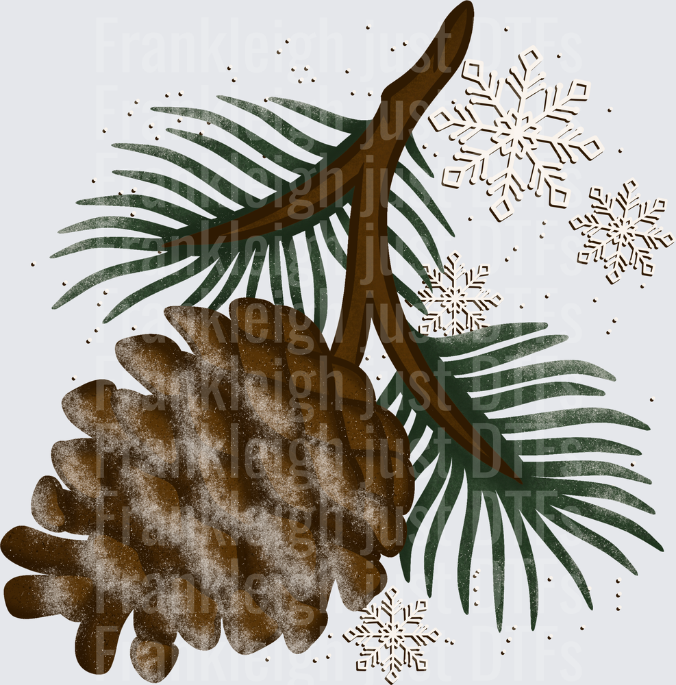 Pine_Cone