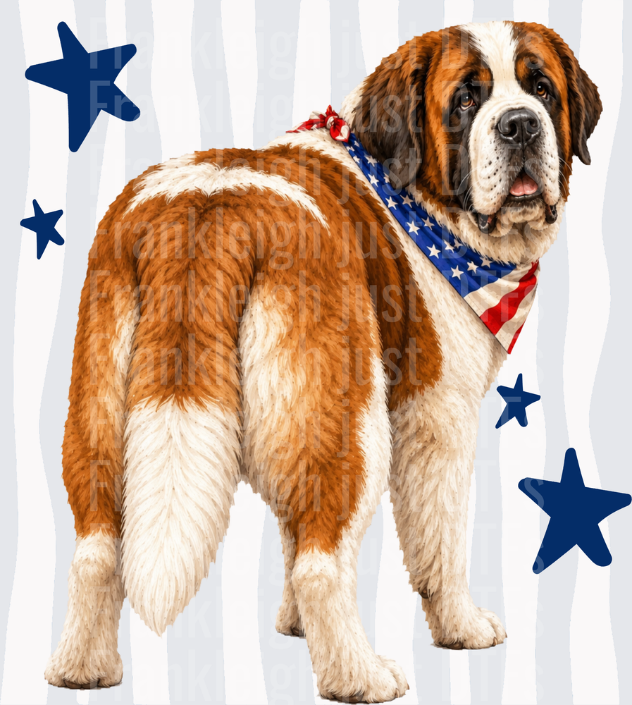 Patriotic Saint Bernard Dog with American Flag Bandana and Blue Stars Back
