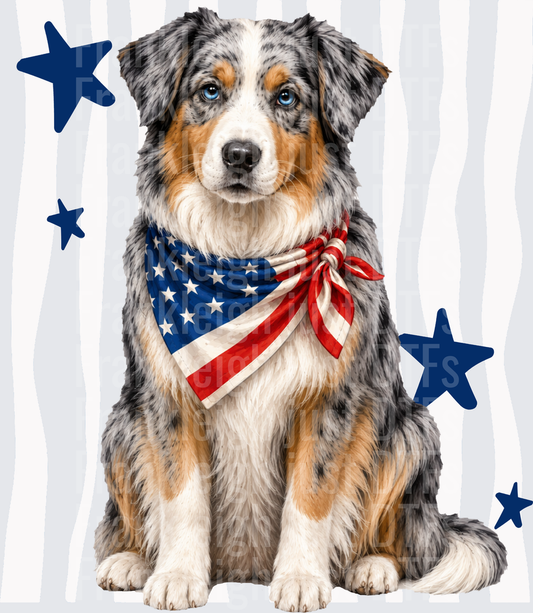 Australian Shepherd Dog with American Flag Bandana and Blue Stars Front
