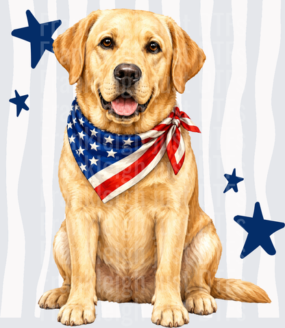 Golden Labrador with American Flag Bandana and Blue Stars Front