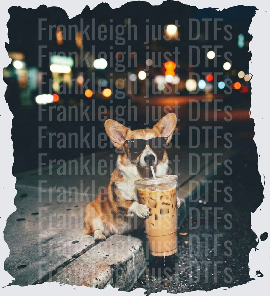 corgi iced coffee