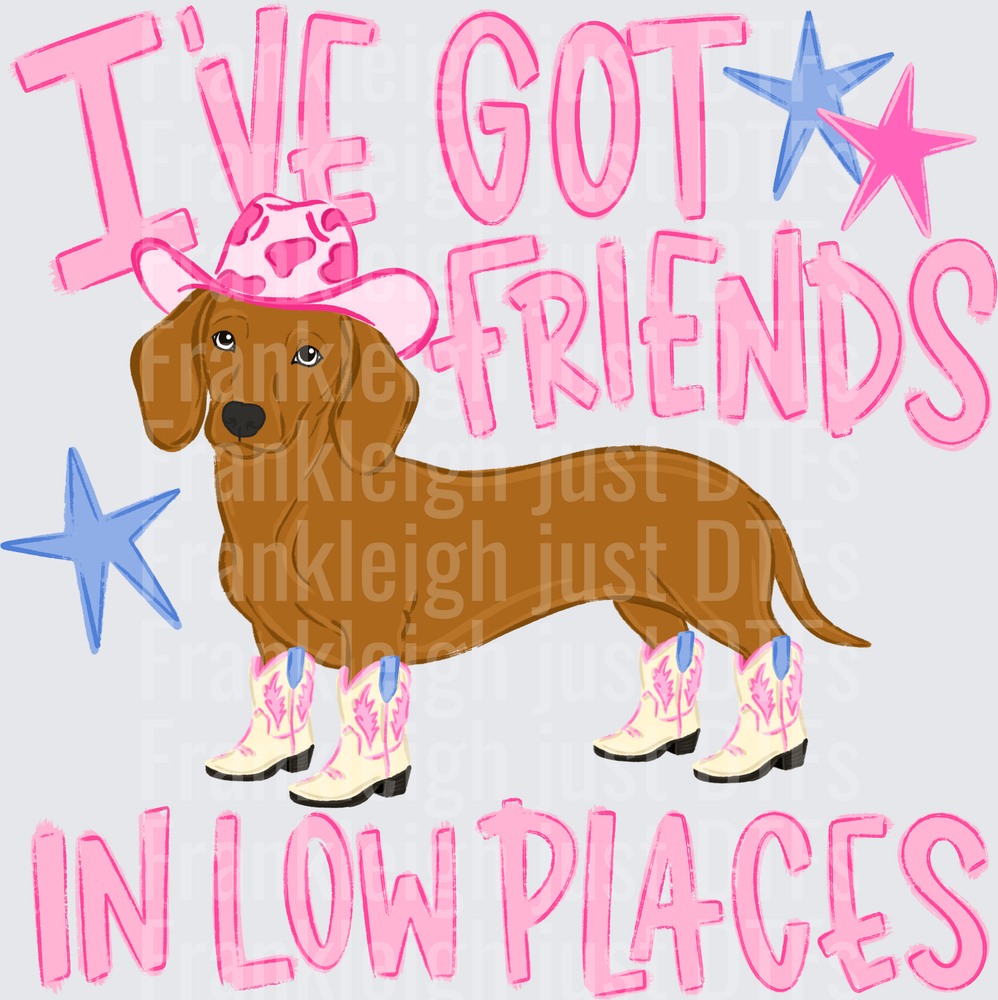friends in low places weenie
