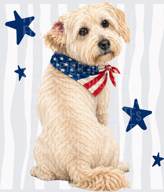 Patriotic Golden Doodle Dog with American Flag Bandana and Blue Stars Back