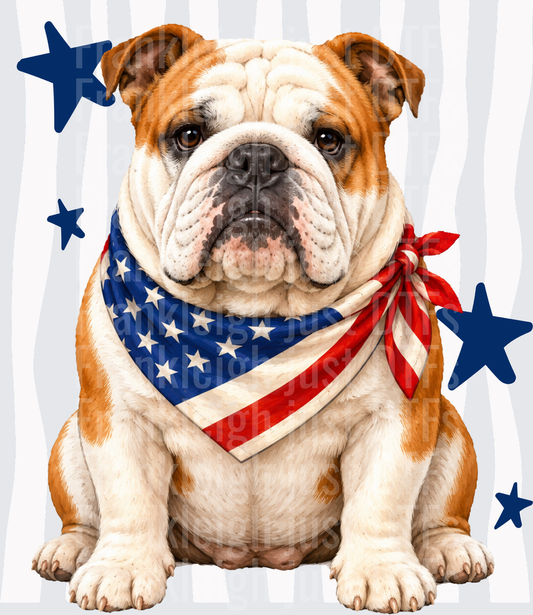 Patriotic English Bulldog with American Flag Bandana and Stars Front