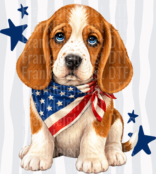 Adorable Beagle Puppy with American Flag Bandana and Stars Front