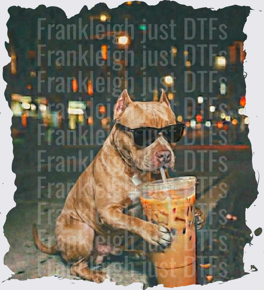 pitt bull iced coffee