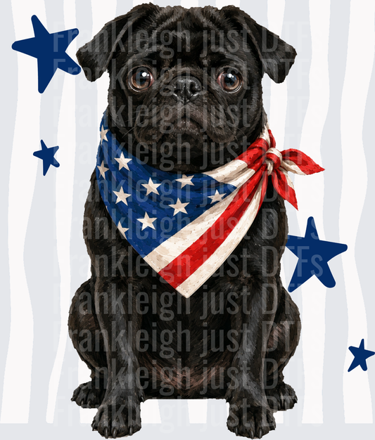 Black Pug Dog Wearing American Flag Bandana with Blue Stars Front
