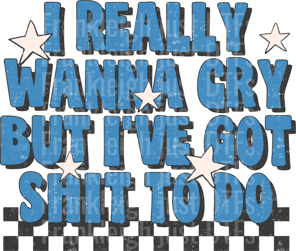 I really Wanna Cry But I've Got Shit to do