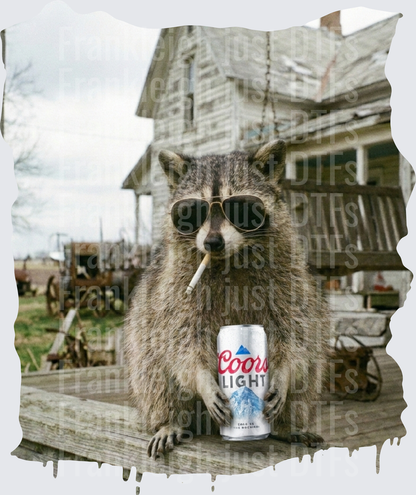 raccoon coors lite