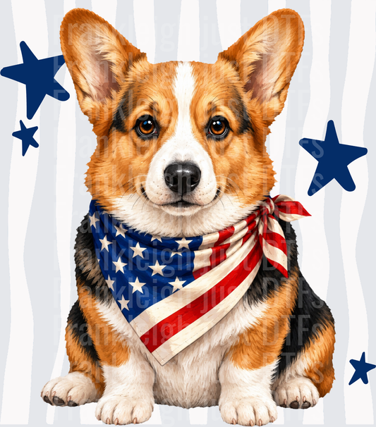 Patriotic Corgi Dog with American Flag Bandana and Stars Front