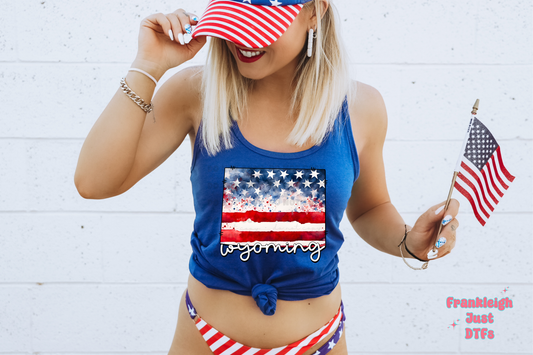 American Flag States N-W (Pocket and Adult Sizes)